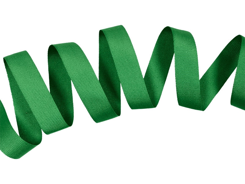 Grosgrain ribbon 20 mm/0,40 mm green (876)