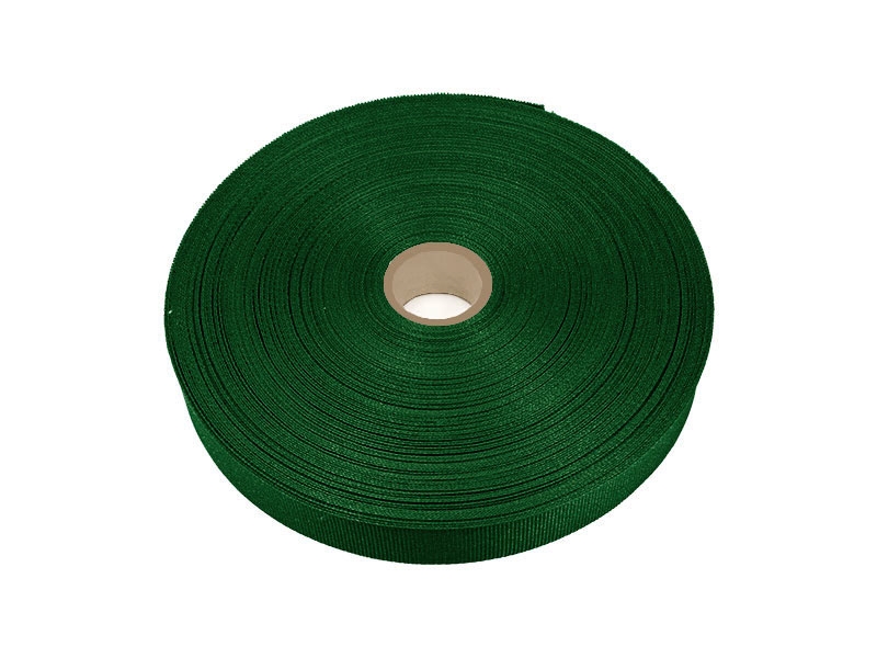 Rypsová stuha 20 mm/0,40 mm tmavě zelená (295)