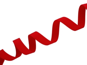10 mm rotes Grosgrainband (171)