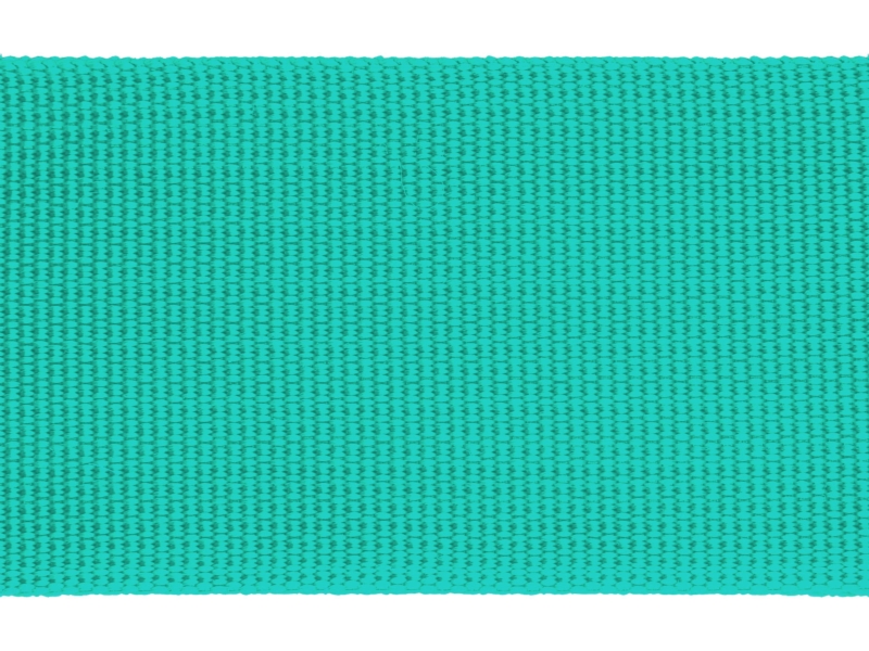 Grosgrain Webbing 50 mm (533) mint