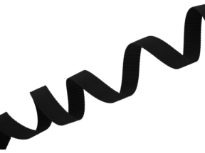 10 mm grosgrain ribbon black (580)