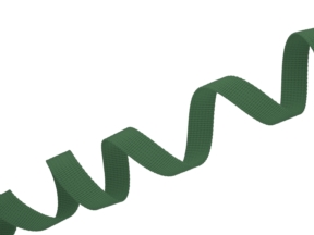 Polyester backing strip P10 10 mm dark green