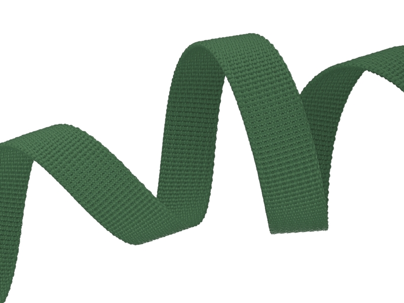 WEBBING TAPE P10 15 MM 153 DARK GREEN PES 