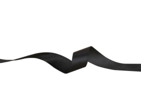 Polyester-Trägerstreifen P09 20 mm schwarz