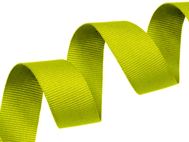 Grosgrain ribbon 20 mm/0,40 mm light green (041)