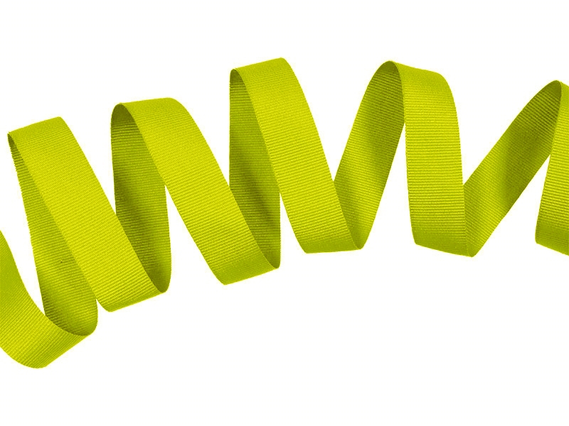 Grosgrain ribbon 20 mm/0,40 mm light green (041)