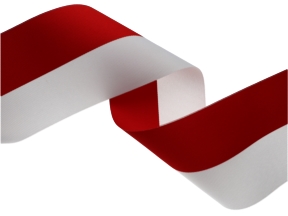 Grosgrain-Band 100 mm / 0,40 mm weiß und rot