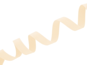 Polyester-Trägerstreifen P10 10 mm hellbeige