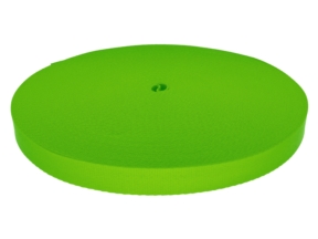 Taśma smyczowa poliestrowa 20 mm/0,9 mm jasnozielona (042)