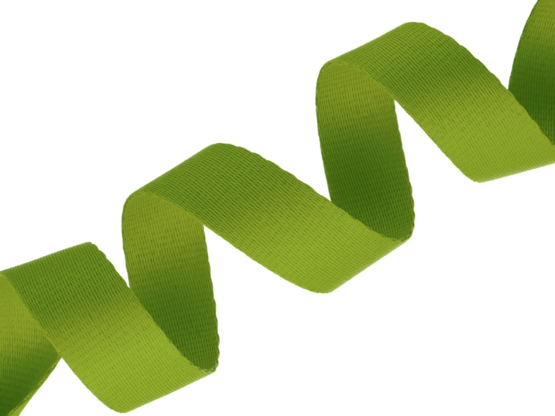 Polyester lanyard tape 25 mm/0.9 mm green (081)