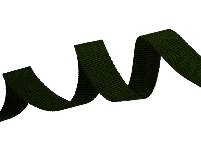 Grosgrain Webbing 10 mm (305) olive green