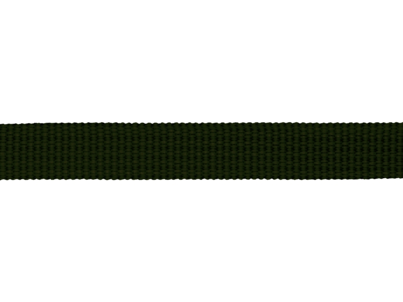 Grosgrain Webbing 10 mm (305) olive green