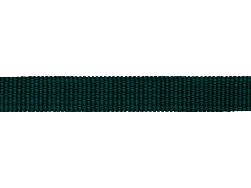 Grosgrain Webbing 10 mm (605) dark teal