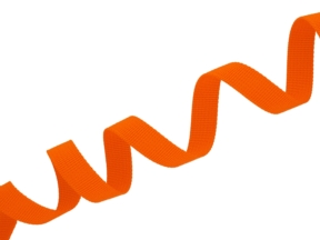 Grosgrainband 10 mm orange (523)