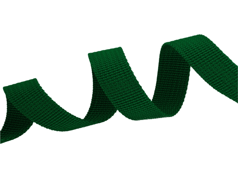 Grosgrain Webbing 10 mm (876) green