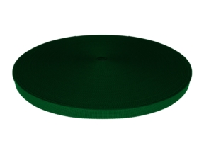 Rypsová stuha 10 mm zelená (876)