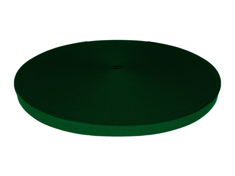 Grosgrain Webbing 10 mm (876) green