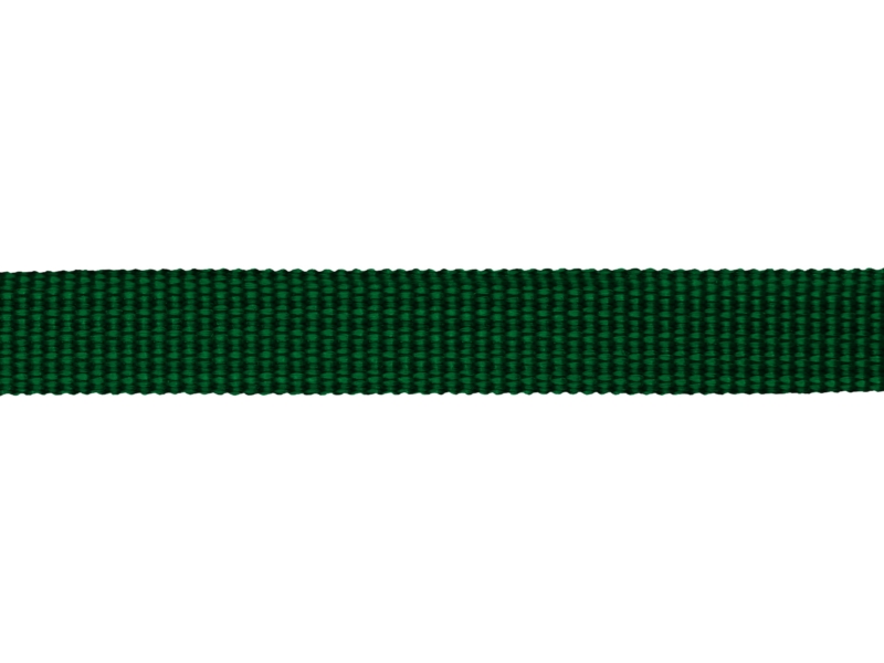 Grosgrain Webbing 10 mm (876) green