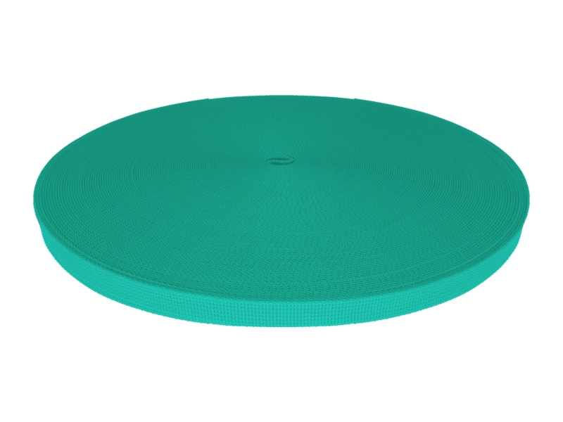 Rips-Trageband 10 mm (533) Mint