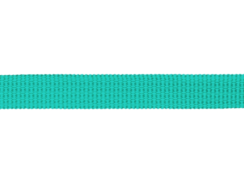 Grosgrain Webbing 10 mm (533) mint