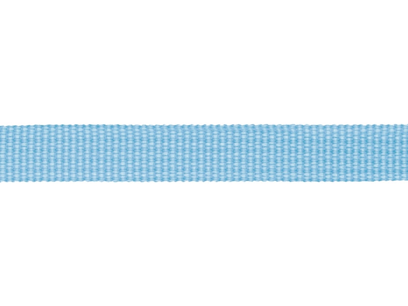 Grosgrain Webbing 10 mm (351) light blue