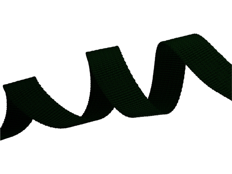 Grosgrain Webbing 10 mm (153) dark green