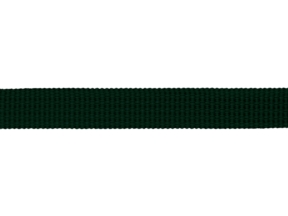 10 mm dunkelgrünes Ripsband (153)