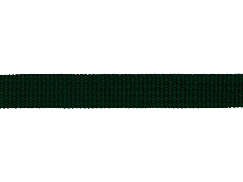 Grosgrain Webbing 10 mm (153) dark green