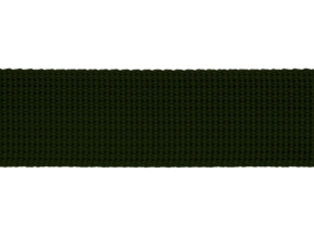 Grosgrain ribbon 25 mm olive green (305)