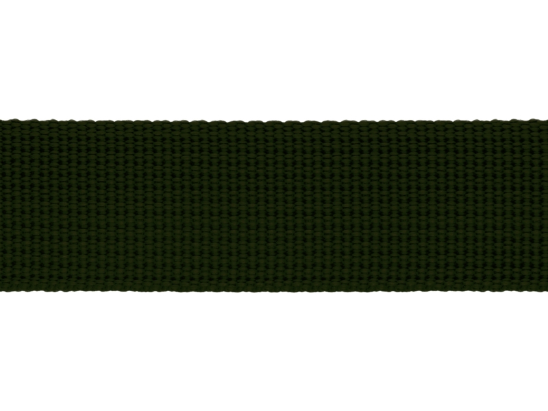Grosgrain Webbing 25 mm (305) olive green