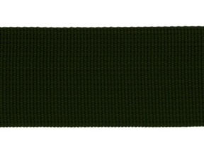Grosgrainband 40 mm olivgrün (305)