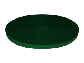 Grosgrain ribbon 15 mm green (876)