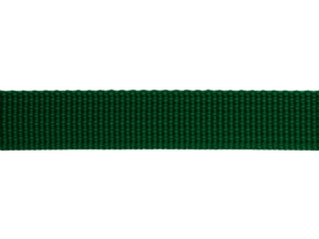 Grosgrain-Band 15 mm grün (876)