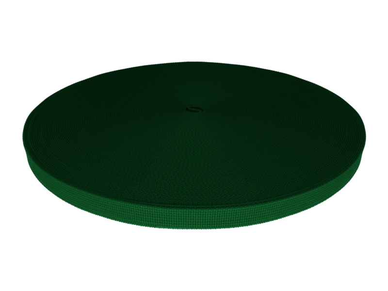 Grosgrain Webbing 20 mm (876) green