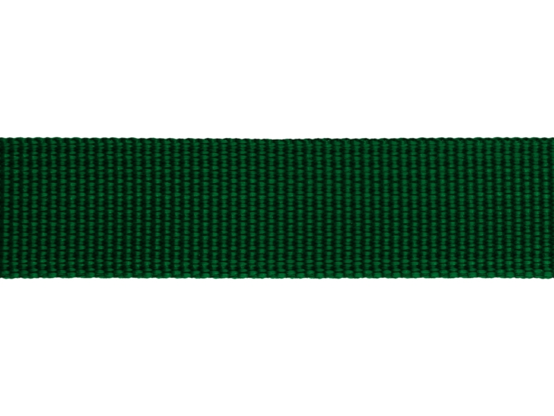 Rips-Trageband 20 mm (876) Grün