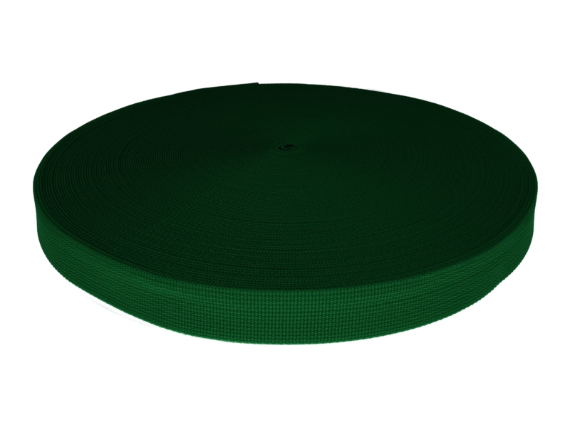 Grosgrain Webbing 25 mm (876) green