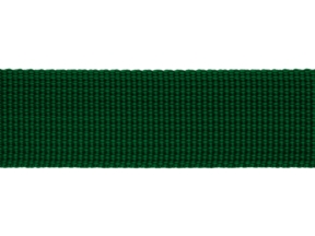 Grosgrain ribbon 25 mm green (876)