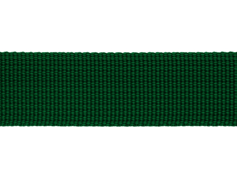 Grosgrain Webbing 25 mm (876) green