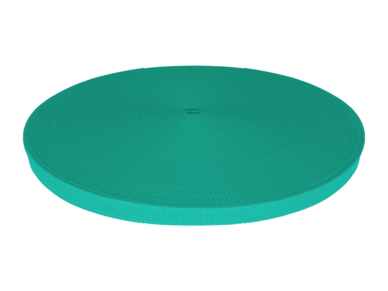 Grosgrain Webbing 15 mm (533) mint
