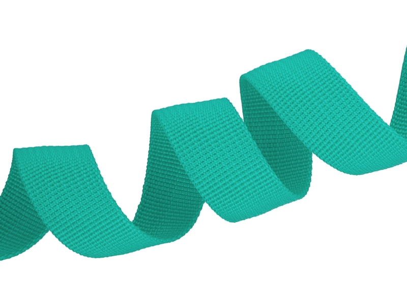 Grosgrain Webbing 20 mm (533) mint