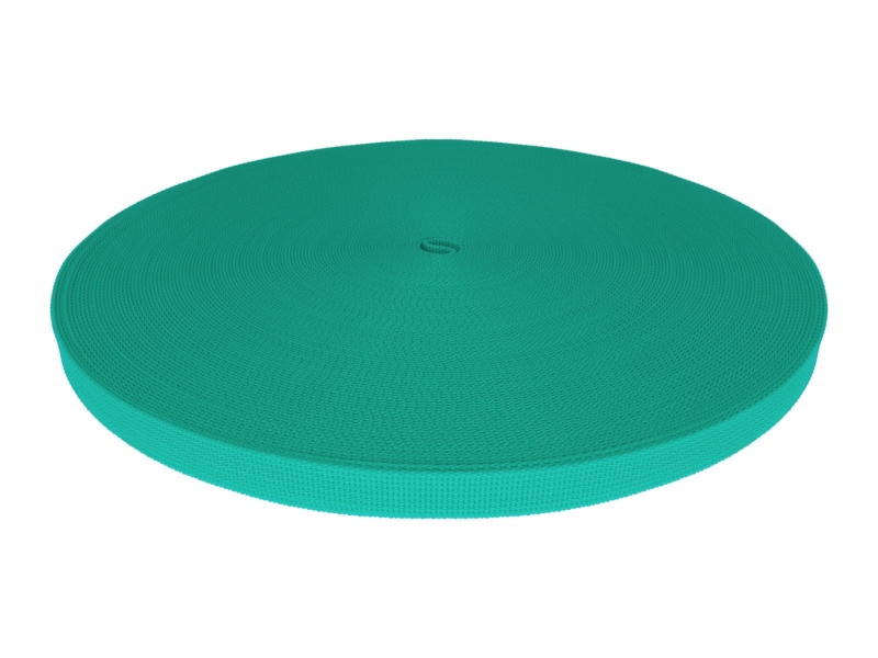Rips-Trageband 20 mm (533) Mint