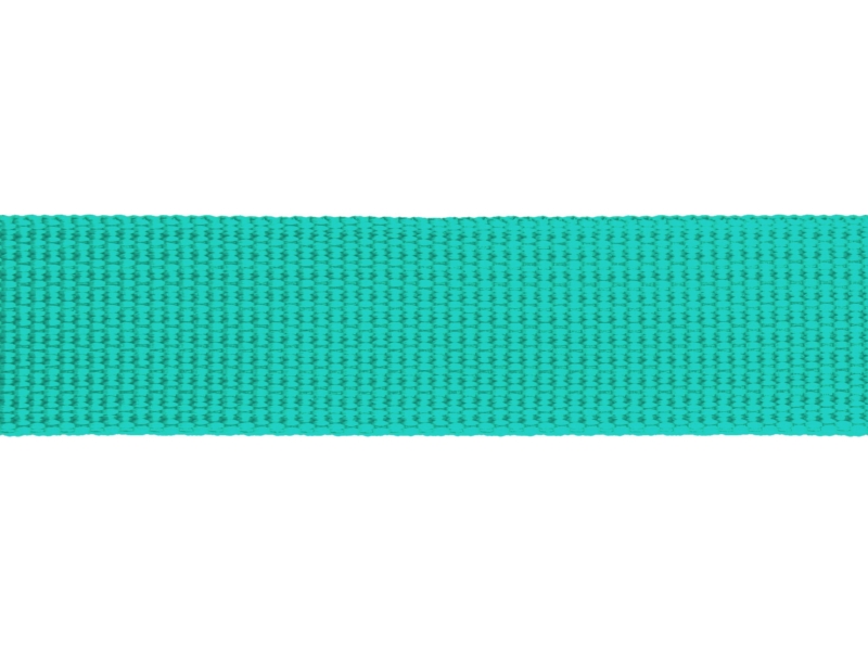 Grosgrain Webbing 20 mm (533) mint