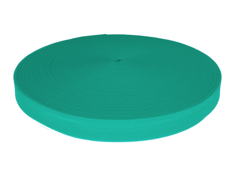 Grosgrain Webbing 25 mm (533) mint