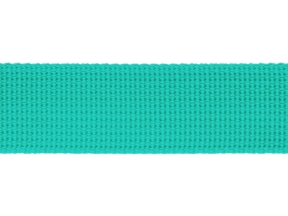 Grosgrain ribbon 25 mm mint (533)