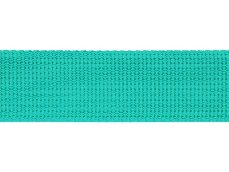 Grosgrain Webbing 25 mm (533) mint