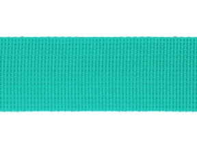 Grosgrain-Band 30 mm mint (533)