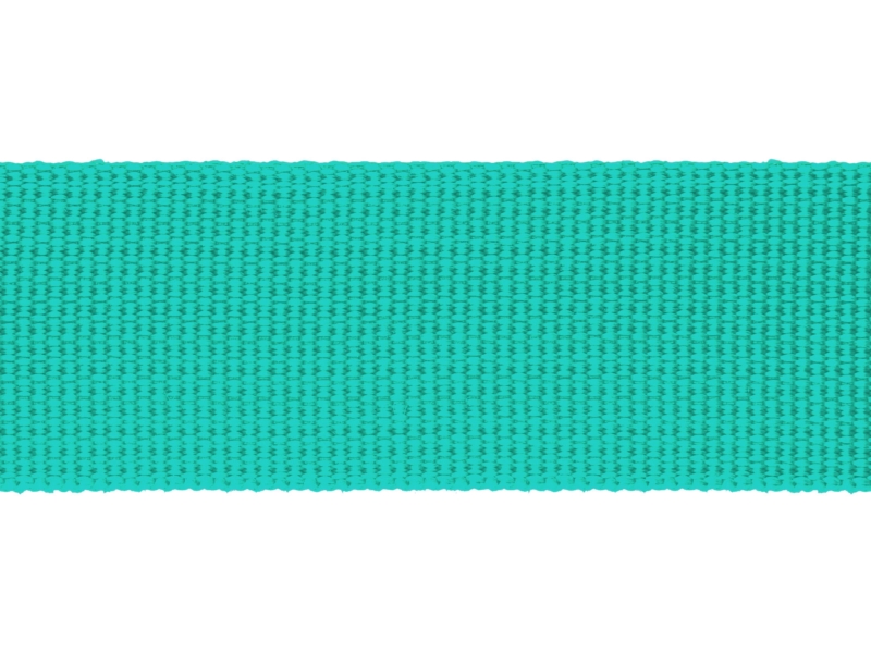 Grosgrain Webbing 30 mm (533) mint
