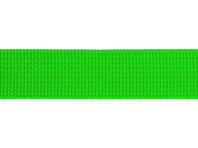 Grosgrain ribbon 20 mm green (684)