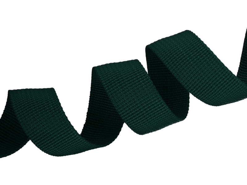 Grosgrain Webbing 20 mm (153) dark green