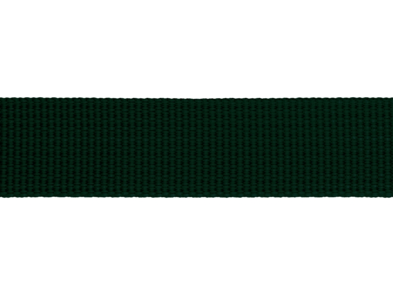 Grosgrain Webbing 20 mm (153) dark green